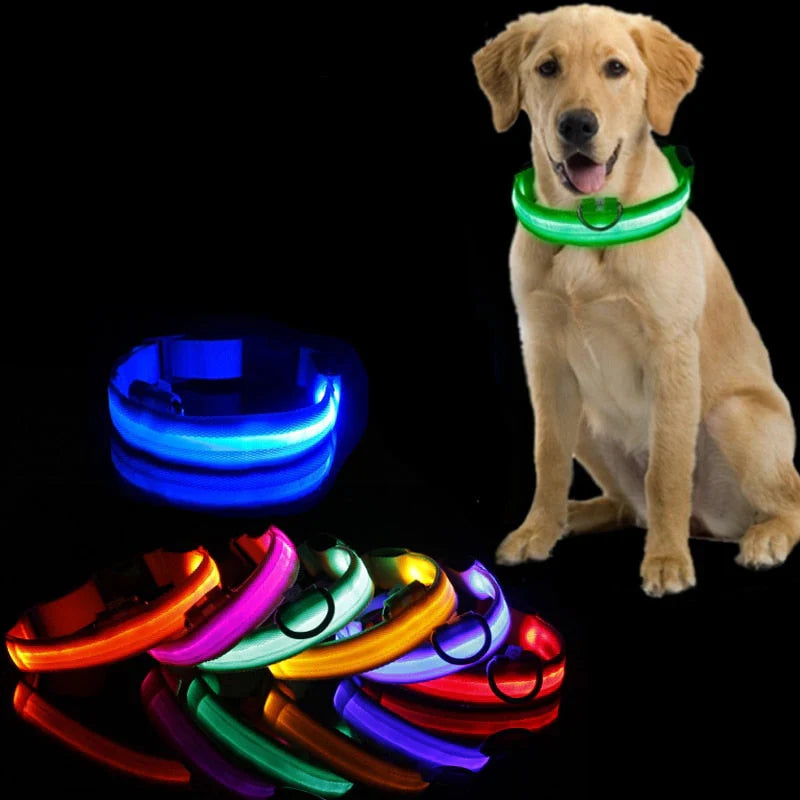 GlowCollar LED – BrightPaws Bowlift