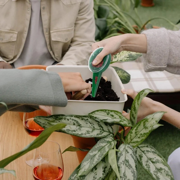 Adjustable Garden Seed Spreader for Precise Distribution