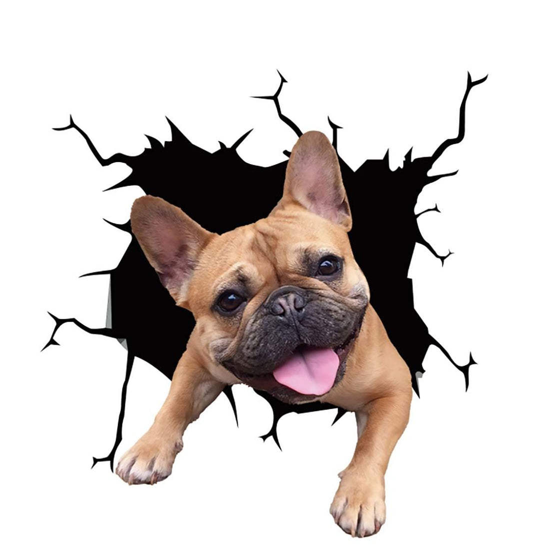 BowLift | Car Scratch Hider 3D Puppy Sticker