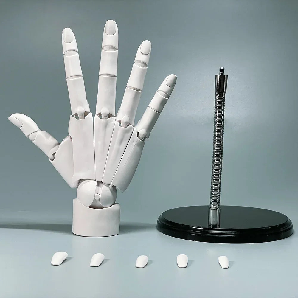 BowLift | Multi-Pose Drawing Sculpting Art Hand Model