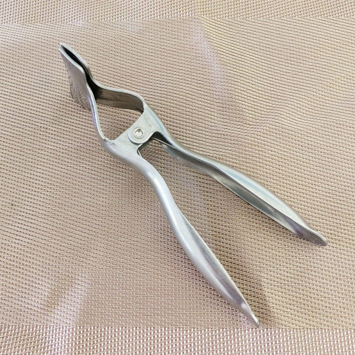 BowLift | Stainless Steel Watermelon Cut in Half Tool