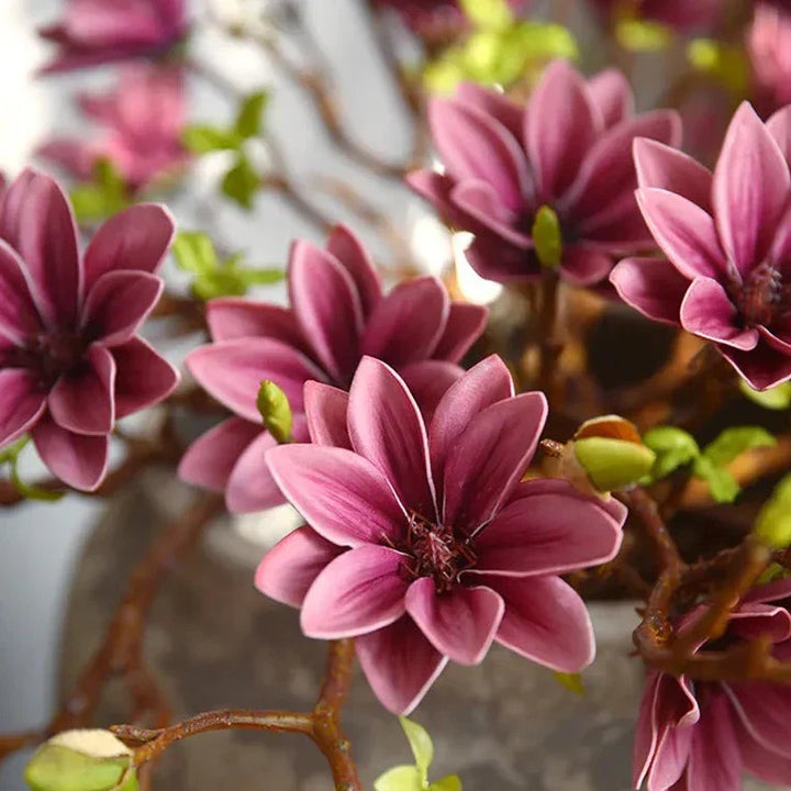 BowLift | Artificial Magnolia Flowers