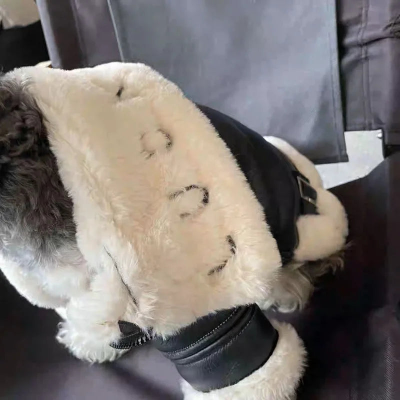 BowLift | Biker Motorcycle Cotton Dog Coat