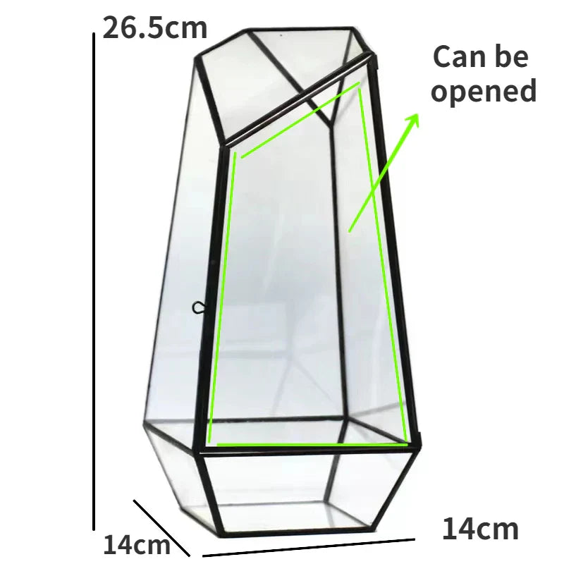 BowLift | Modern Geometric Nature-Inspired Botanical Terrarium