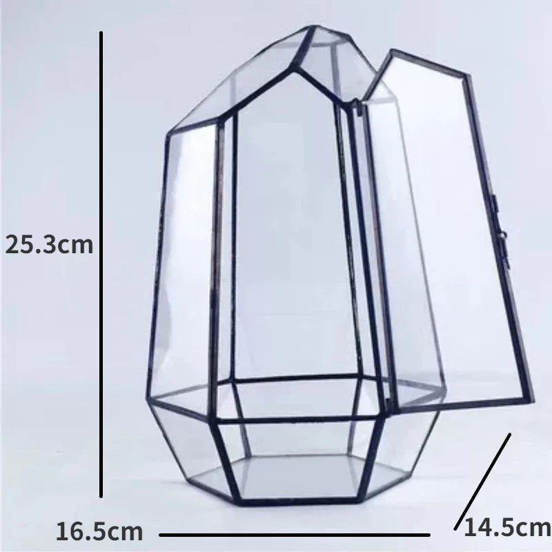BowLift | Modern Geometric Nature-Inspired Botanical Terrarium