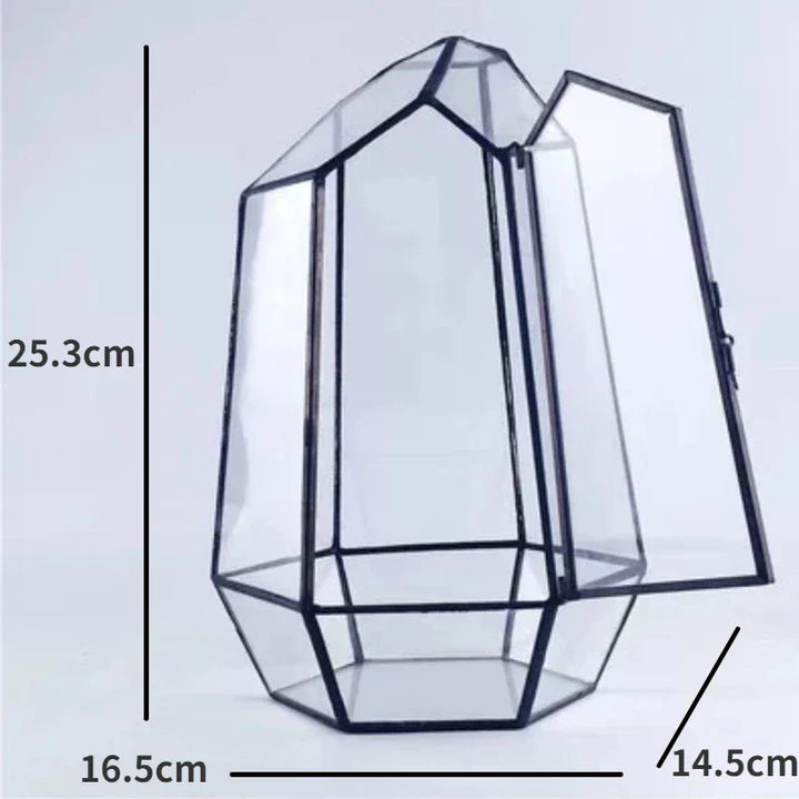 BowLift | Modern Geometric Nature-Inspired Botanical Terrarium