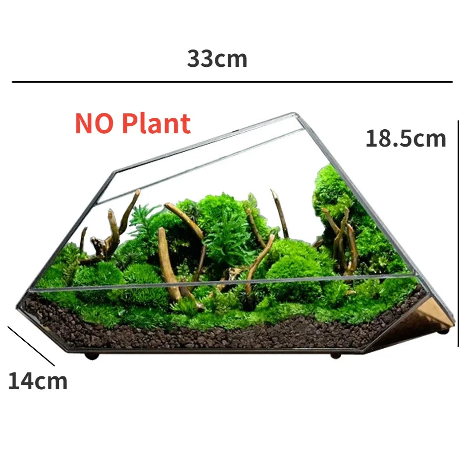 BowLift | Geometric Glass Moss Planter Terrarium Vase