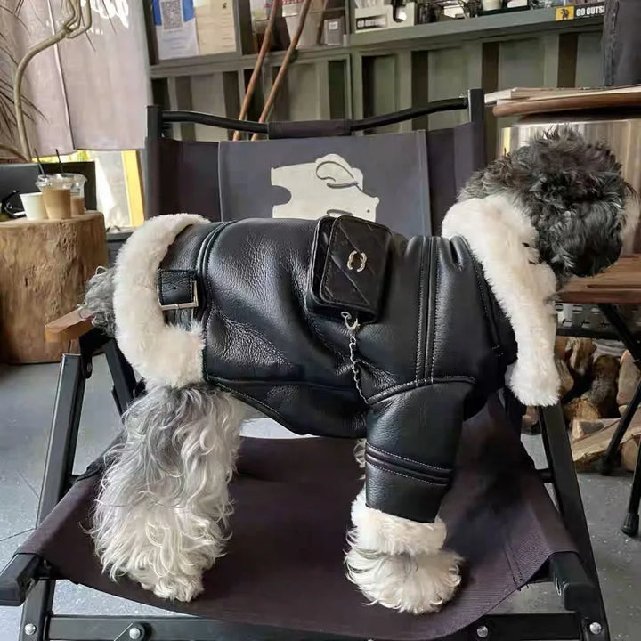 BowLift | Biker Motorcycle Cotton Dog Coat