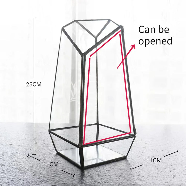BowLift | Modern Geometric Nature-Inspired Botanical Terrarium