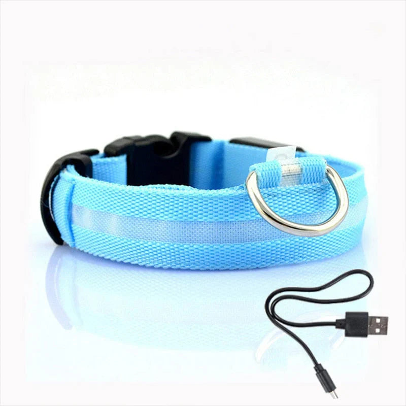 GlowCollar LED – BrightPaws Bowlift