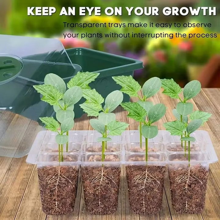 BowLift | 12-Cell Plastic Seedling Starter Tray for Succulent and Garden Seeds