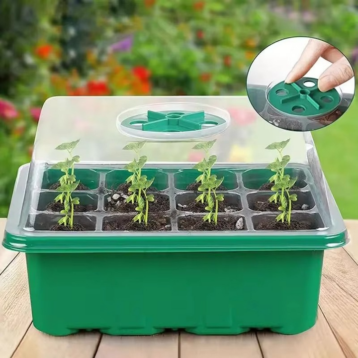 BowLift | 12-Cell Plastic Seedling Starter Tray for Succulent and Garden Seeds