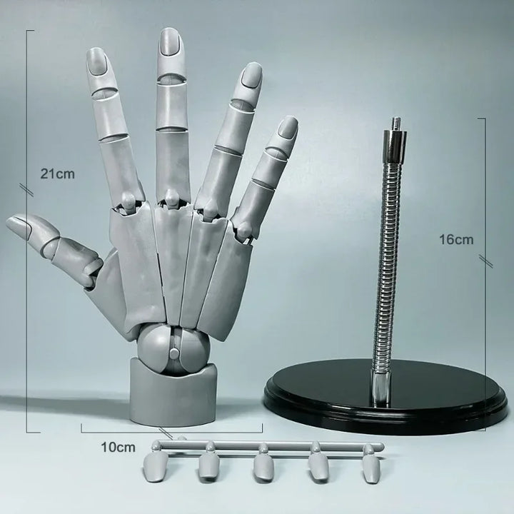 Multi-Pose Drawing Sculpting Art Hand Model | Bowlift