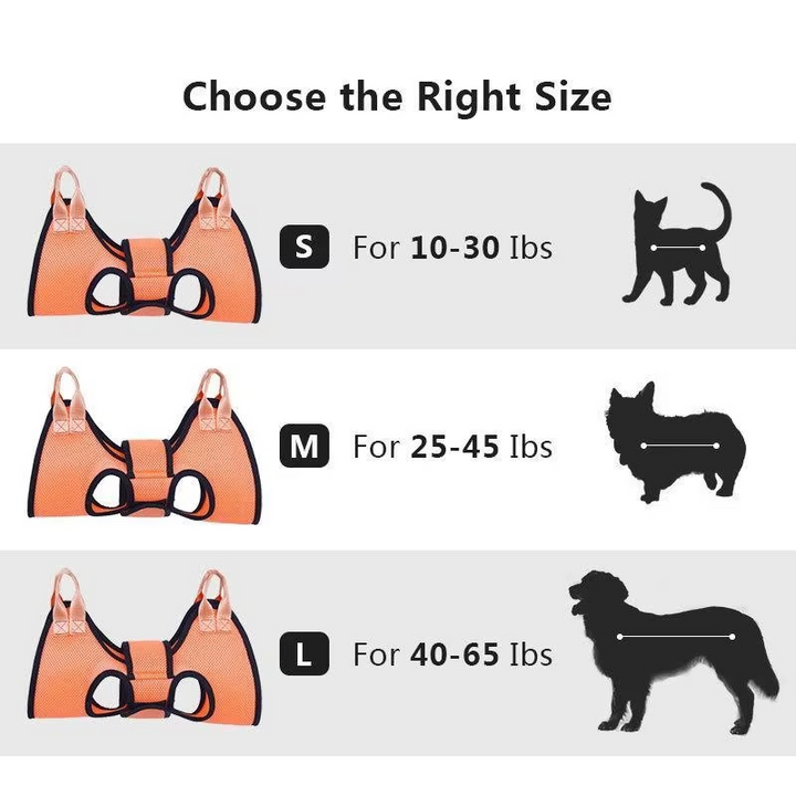 BowLift | Pet Grooming Hammock - Safe & Stress-Free Nail Trimming>