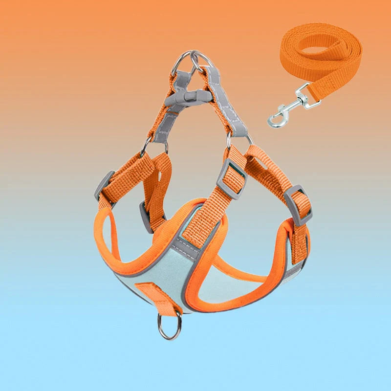 Reflective Puppy Harness – PawSafe Bowlift