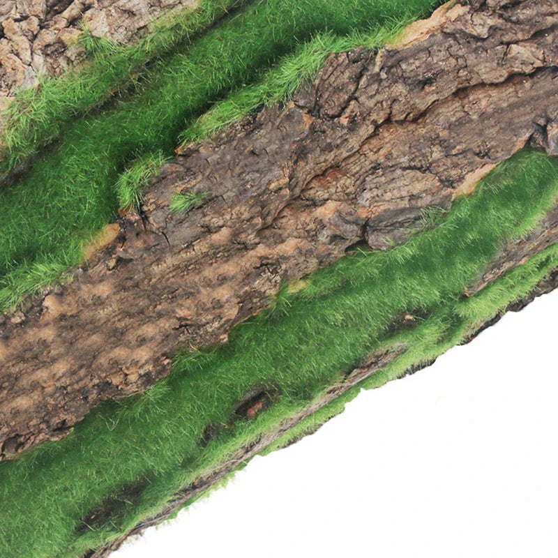 BowLift | DIY Wall Decoration Green Plant Bark