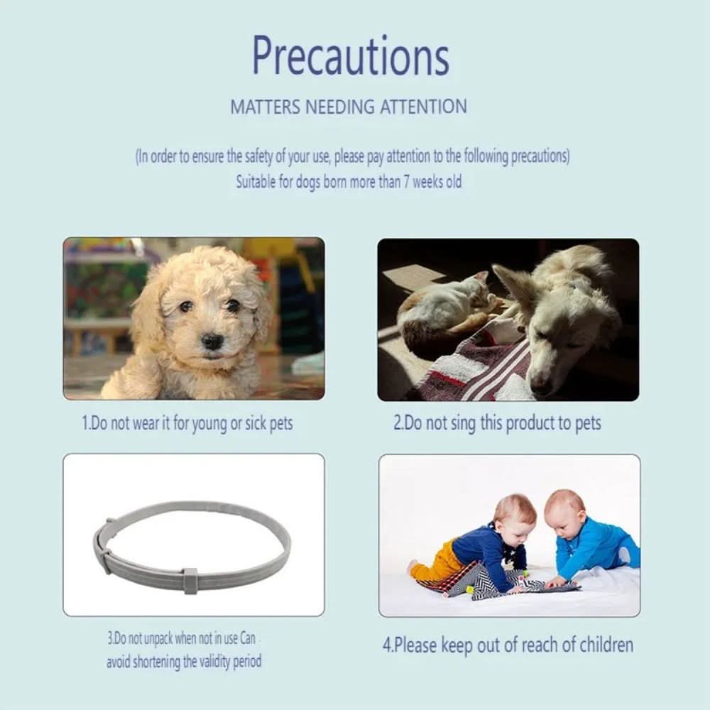 BowLift | Flea & Tick Protection Collar for Dogs & Cats