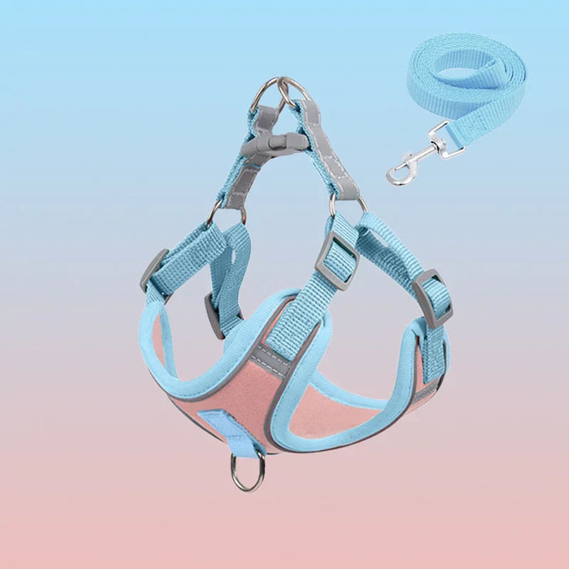 Reflective Puppy Harness – PawSafe Bowlift