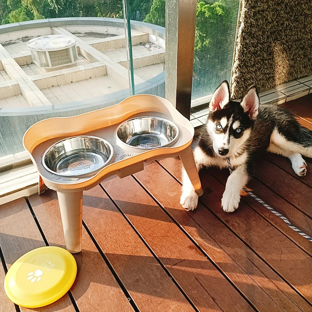 BowLift | Elevated Healthy Digestion Comfortable Feeding Dog Bowls