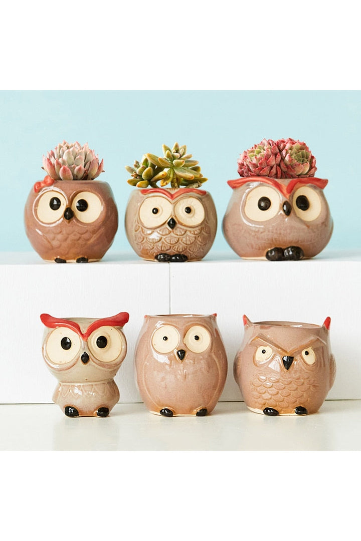 Eule Ceramic Flower Pot | Bowlift