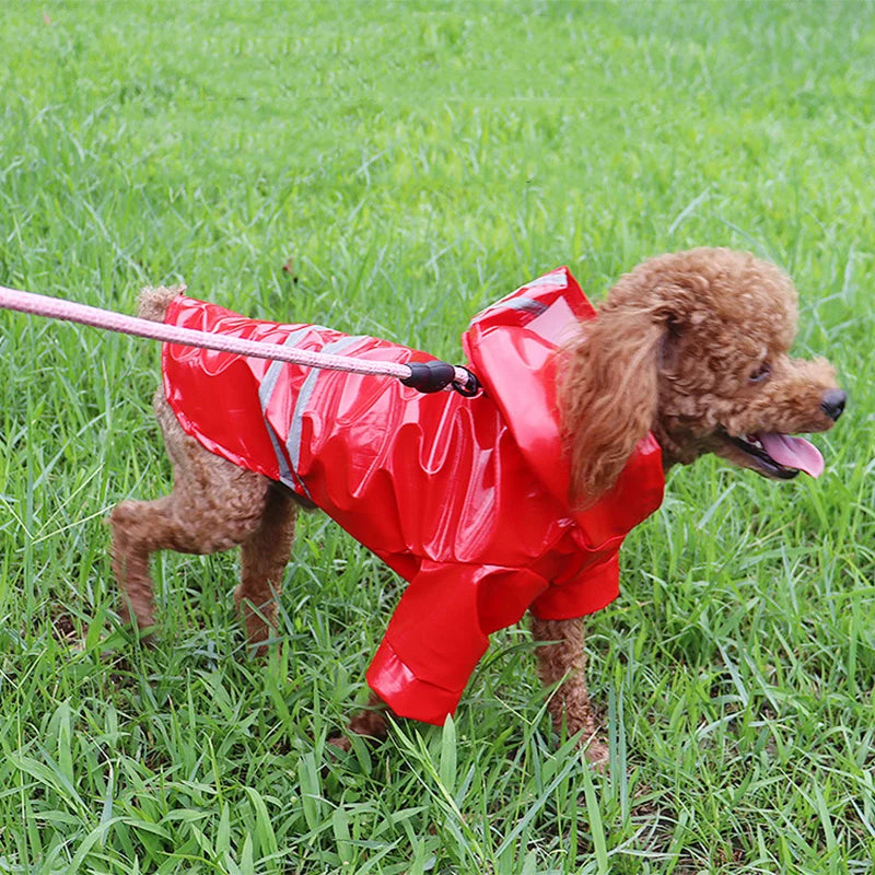 PupShield • Reflective Raincoat