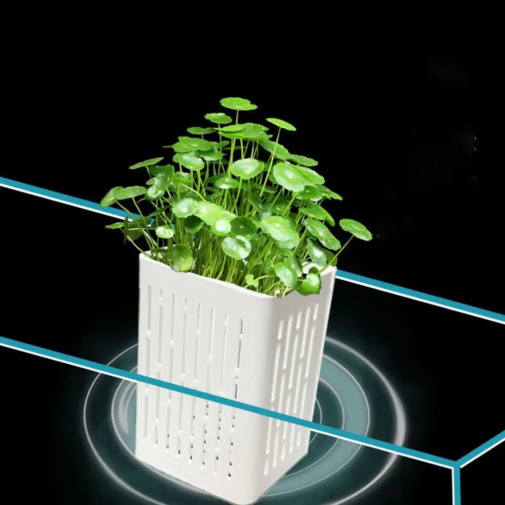 BowLift | TankBloom – Natural flair for your aquarium!