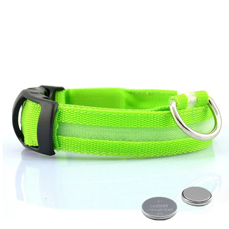 GlowCollar LED – BrightPaws Bowlift