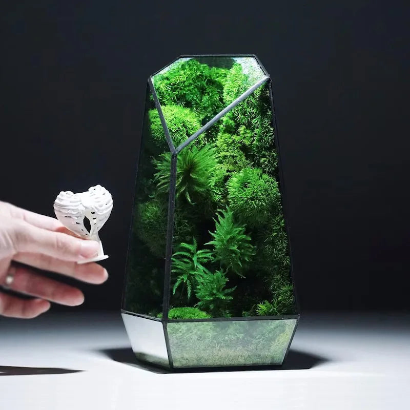 BowLift | Modern Geometric Nature-Inspired Botanical Terrarium