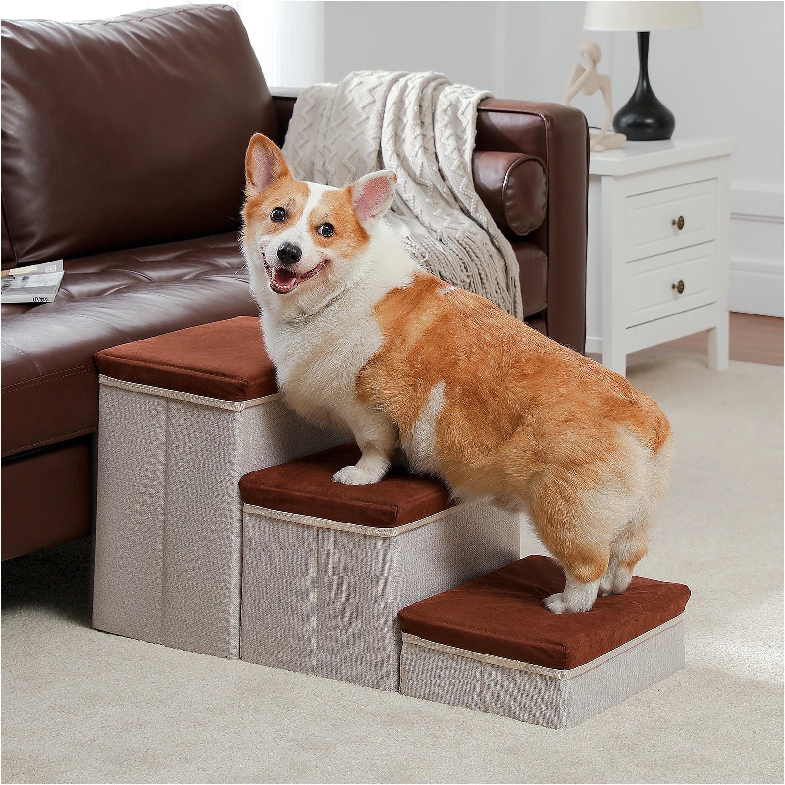 PetLift •  2-in-1 Foldable Dog Stairs & Storage Ladder