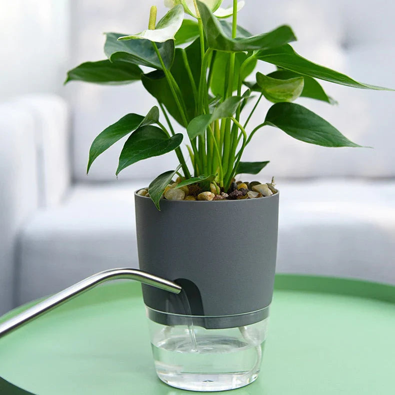 BowLift | Automatic watering pot