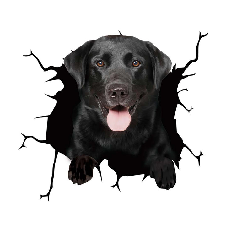 BowLift | Car Scratch Hider 3D Puppy Sticker