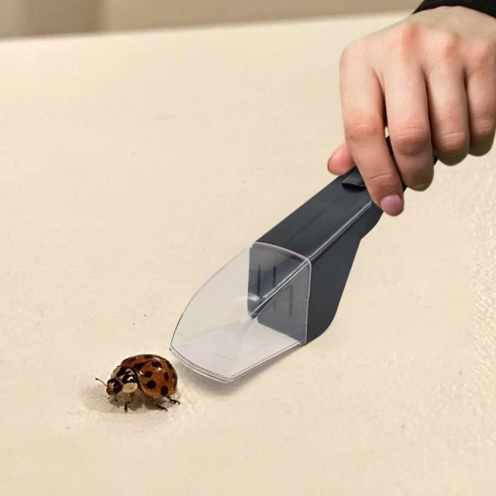 BowLift | No Exit Easy Insect Catcher Tool