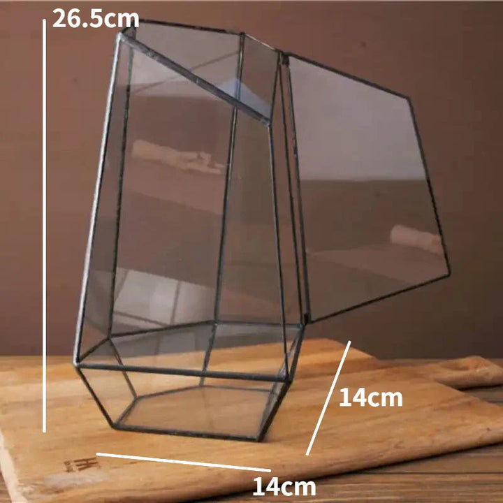 BowLift | Modern Geometric Nature-Inspired Botanical Terrarium