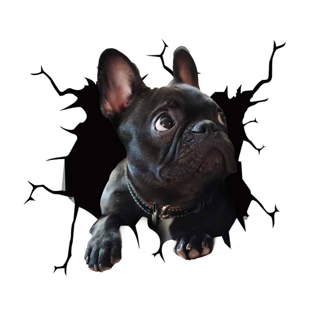 BowLift | Car Scratch Hider 3D Puppy Sticker
