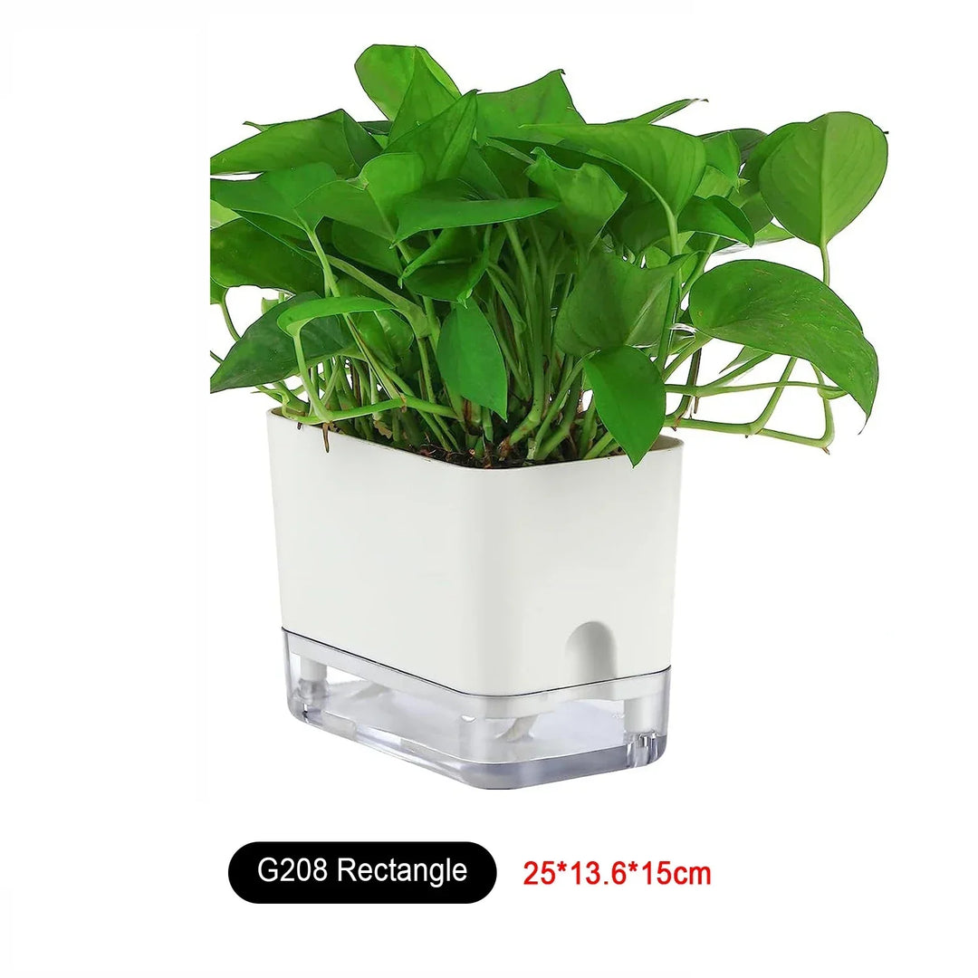 BowLift | HydroLino Flower Pot | Self-Watering | Compact & Transparent | For Indoor Use
