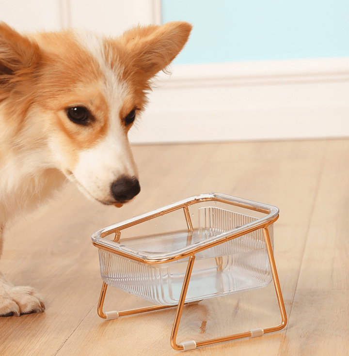 BowLift | Raised food bowl for cats & small dogs