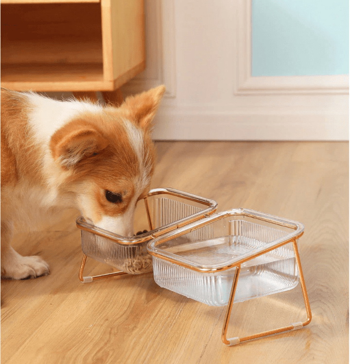 BowLift | Raised food bowl for cats & small dogs