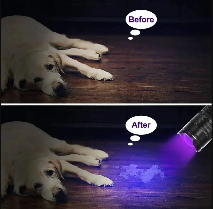 BowLift | UV-LED flashlight – Ultraviolet light for stain detection and pet urine detection