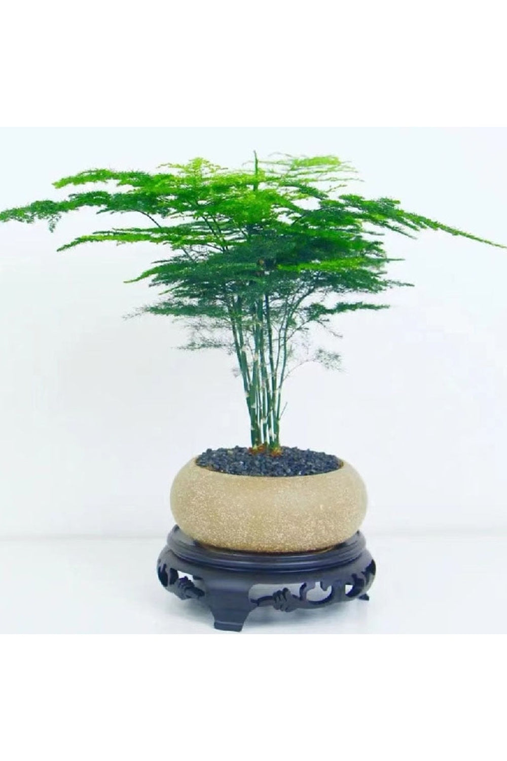 Frosted Stone Flower Pot | Bowlift