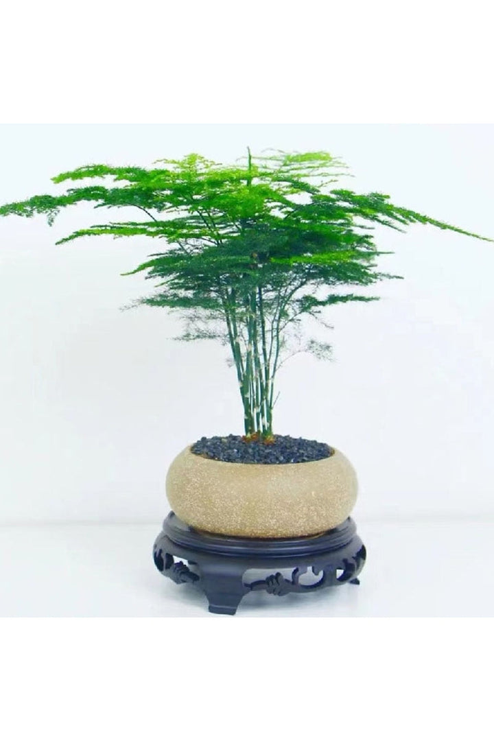 Frosted Stone Flower Pot | Bowlift