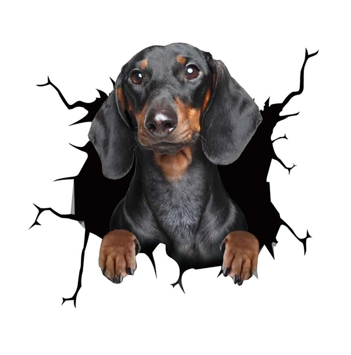 BowLift | Car Scratch Hider 3D Puppy Sticker