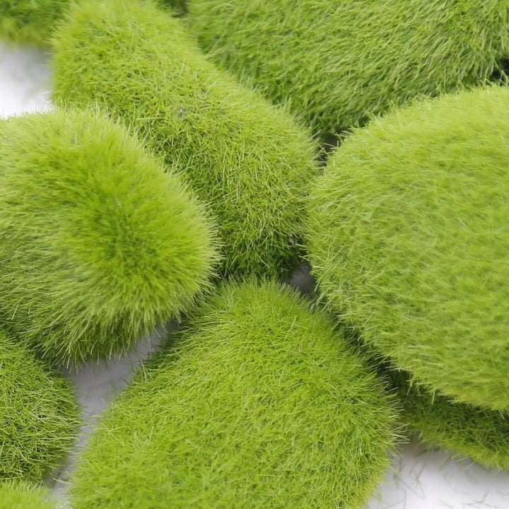BowLift | MossAura Floravio | Decorative Moss Stones | Easy Care & Versatile | For Creative Projects