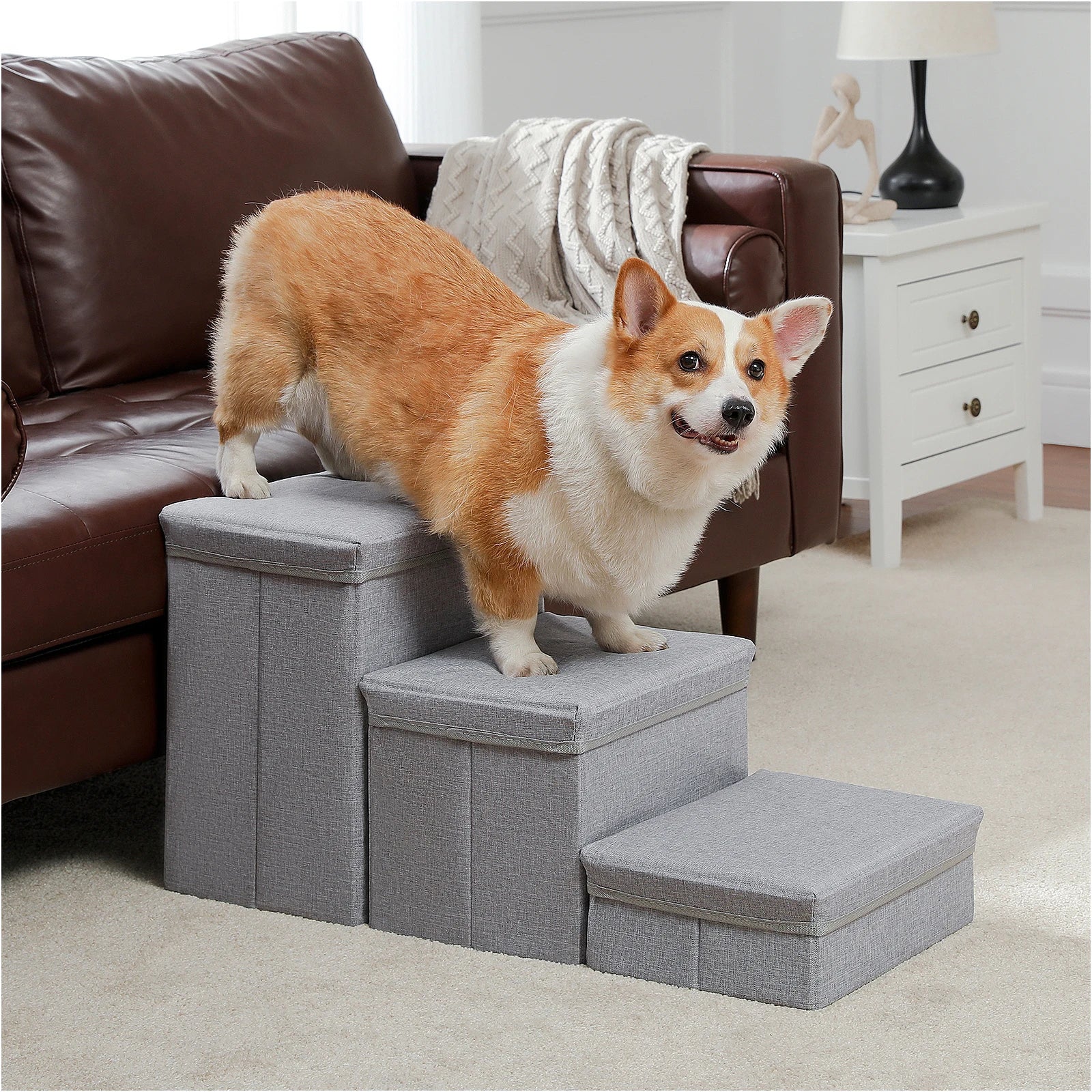 PetLift •  2-in-1 Foldable Dog Stairs & Storage Ladder