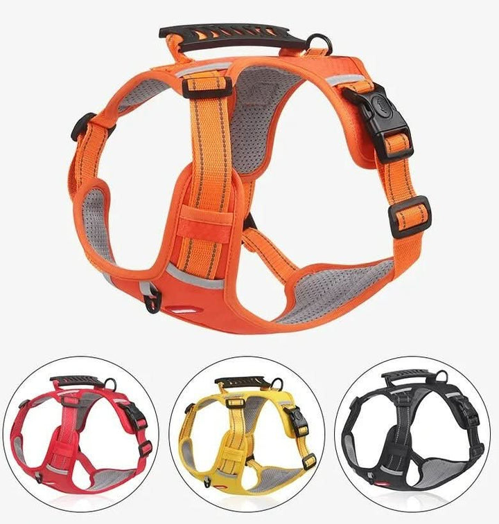 BowLift | anti-pull dog harness for pain-free walks