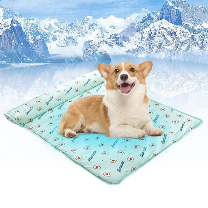 BowLift | Self Cooling Summer Pet Bed