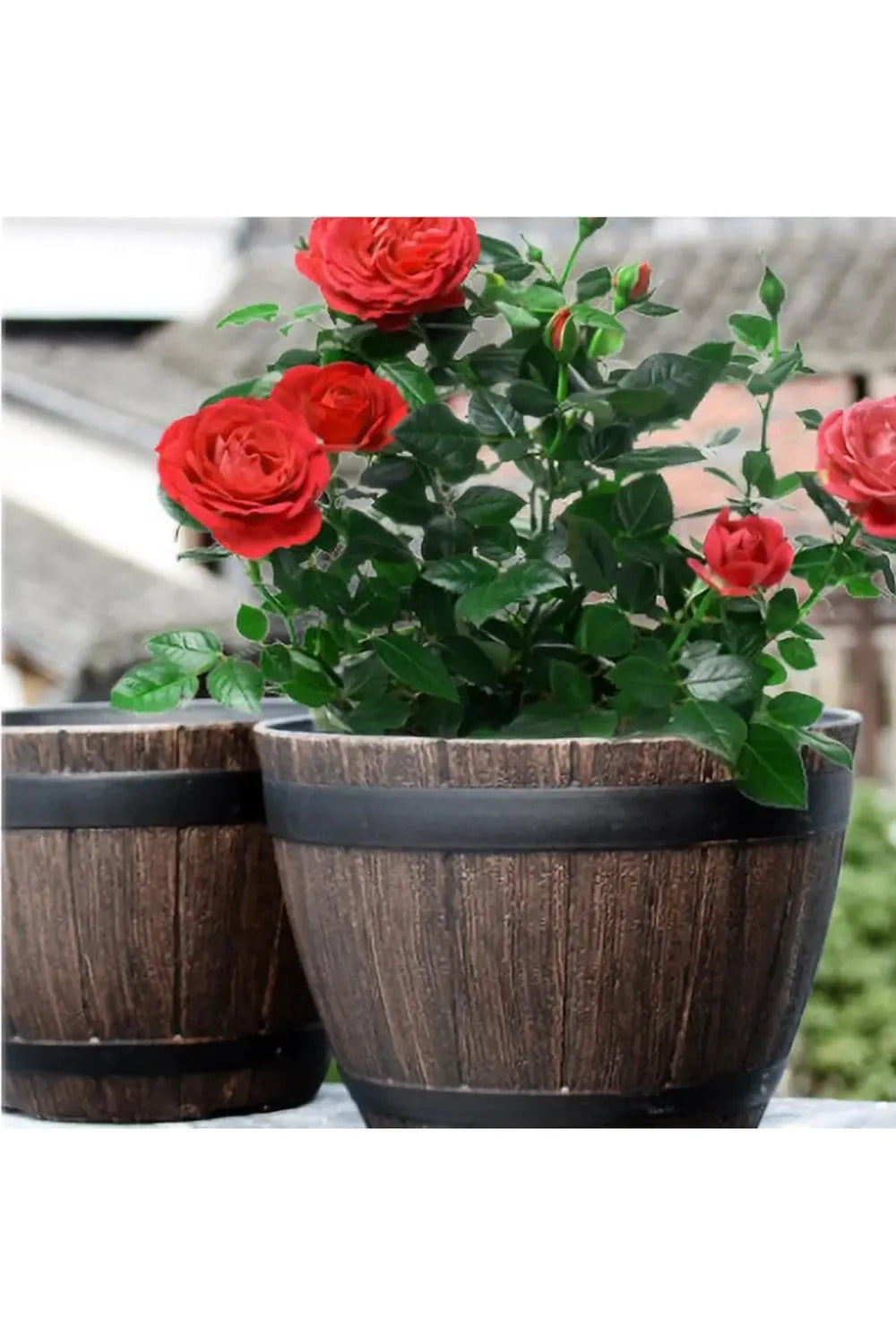 Wood Barrel Plant Pot | Bowlift