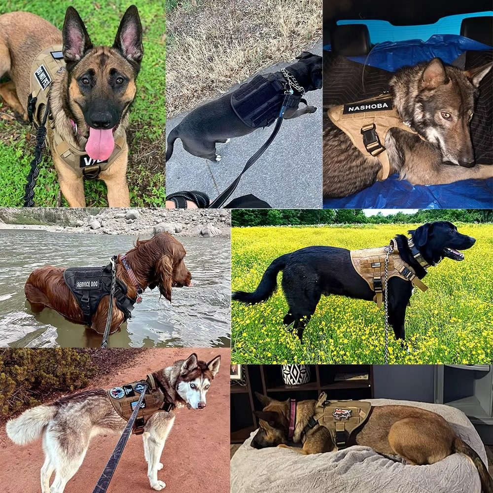 BowLift | Tactical Dog Harness and Leash Set for Medium and Large Dogs
