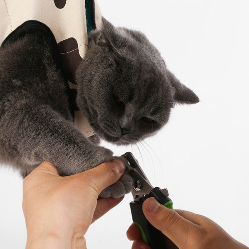 BowLift | Cozy Cloud Cat Grooming Hammock