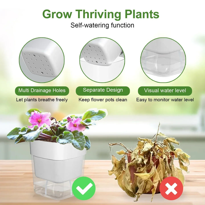 BowLift | HydroLino Flower Pot | Self-Watering | Compact & Transparent | For Indoor Use