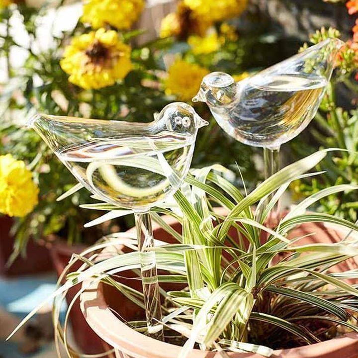 BowLift | Self-watering Plant Glass Bulb